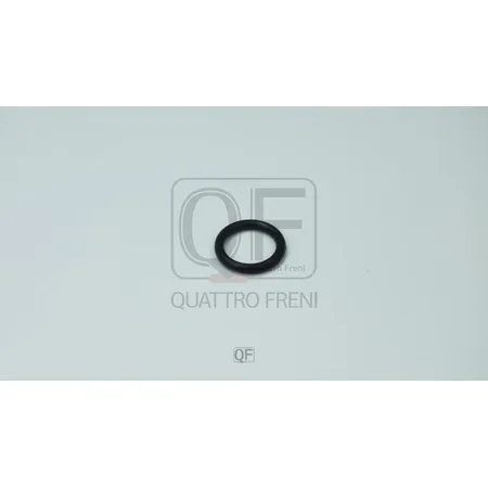 Кольцо уплотнительное масляного шланга QUATTRO FRENI QF54A00043