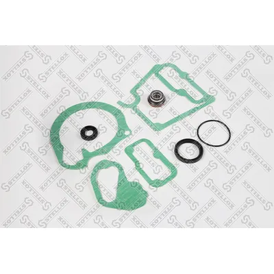 Ремкомплект водяного насоса Mercedes L серия двигатель OM364 OM366 MB OM366A STELLOX 8129943_SX