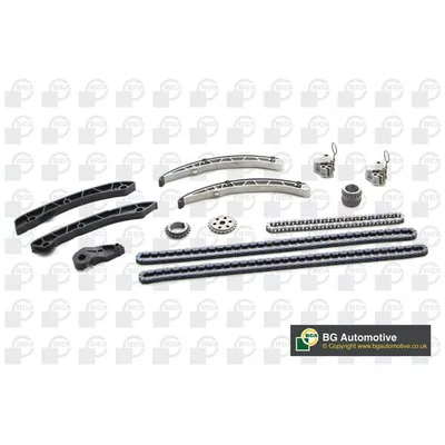 РЕМКОМПЛЕКТ ЦЕПИ ГРМ Land Rover Discovery/Range Rover 5.0 [508PN] 09- Bga TC4202FK