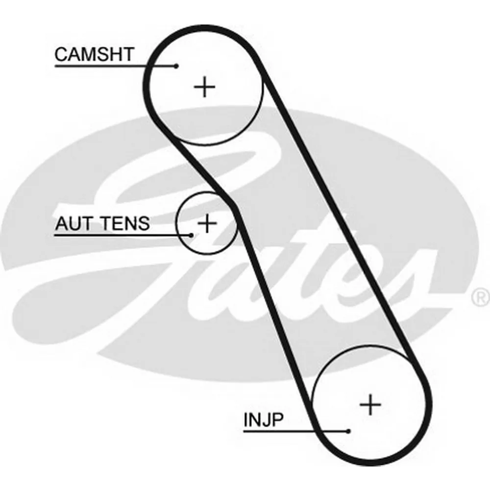 Ремень ГРМ FORD Focus 2/C-Max/S-Max/Mondeo/Connect all 1.8TDI GATES 5541XS