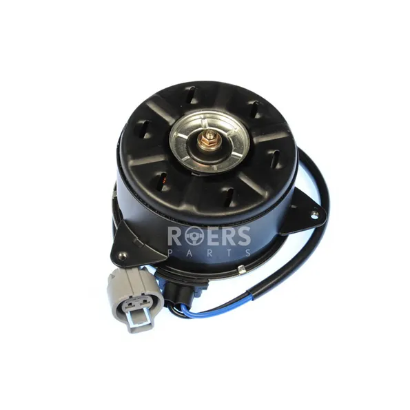 Мотор вентилятора охлаждения Roers Parts RP1636322120