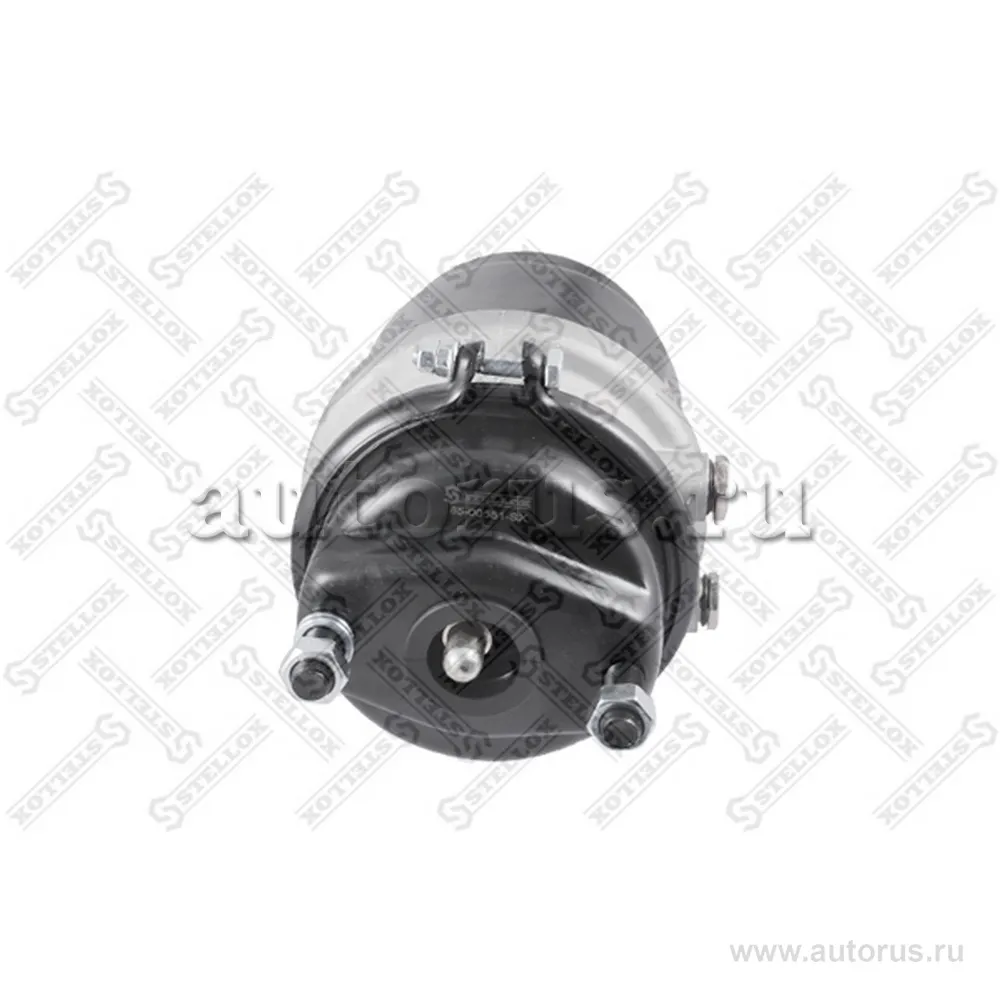Энергоаккумулятор задний левый T20/24 толкат.L 20мм MAN STELLOX 8500551_SX