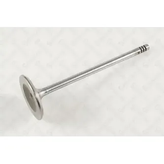 Клапан впускной 33.3x5x99.9 Fiat Grande Punto/Doblo 1.2i/1.4i 8V 1 STELLOX 01-24379-SX