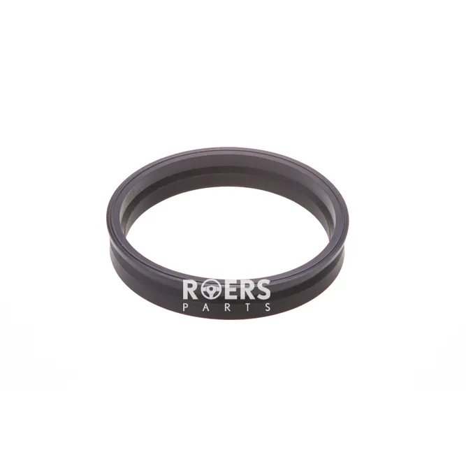 Уплотнительное кольцо бензонасоса Roers Parts RPM51SR003