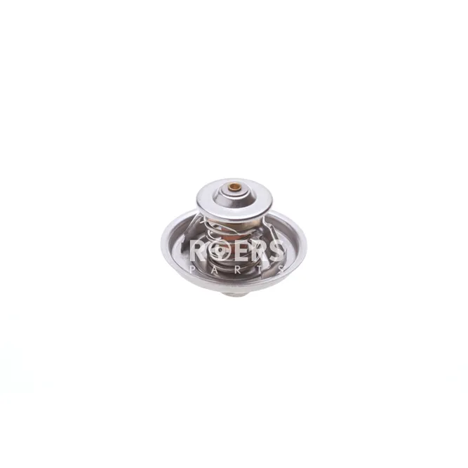 Термостат Roers Parts RP077121113D