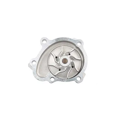 Водяная помпа (насос) CORSA C COMBO C ASTRA G 02-04 BSG BSG65500011
