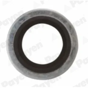Шайба универсальная cu 16x23x1.5 mitsubishinissanopelvolvorenault PAYEN KG5012