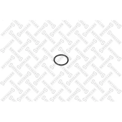 Кольцо уплотнит. КПП (р) 29.2x3 ScaniaP/R-Series STELLOX 83-22158-SX