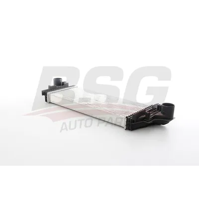 Интеркулер BSG BSG 60-535-028