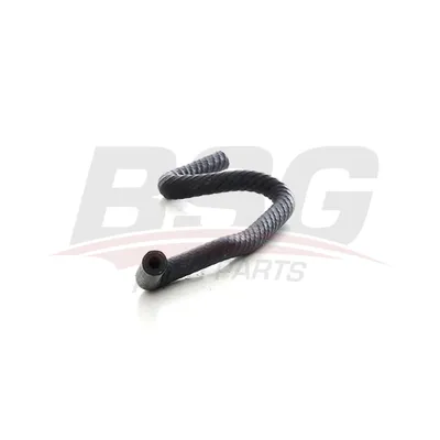 Шланг радиатора KANGOO II 08- BSG BSG 75-720-053
