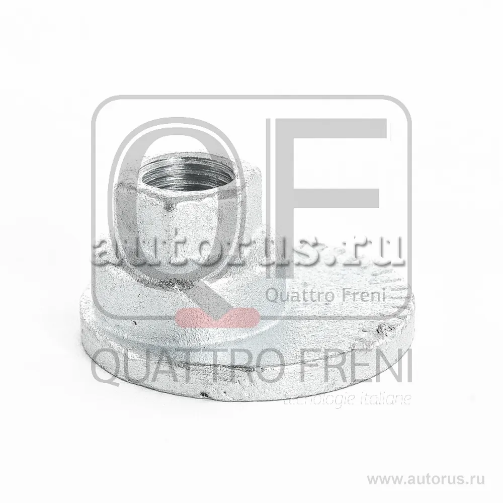 ГАЙКА С ЭКСЦЕНТРИКОМ QUATTRO FRENI QF00X00019