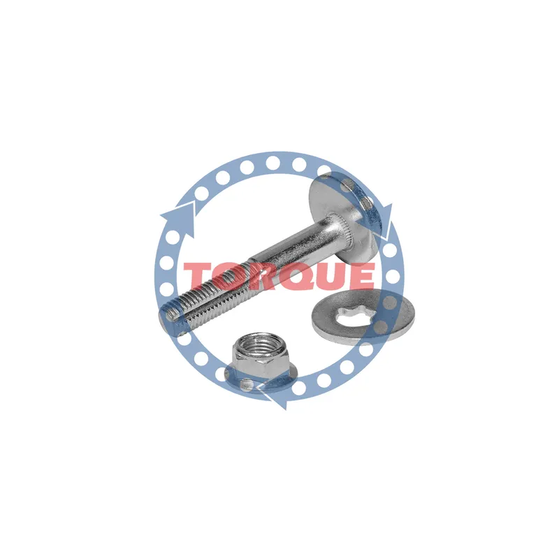 Болт эксцентриковый с гайкой и шайбой TORQUE cpk014