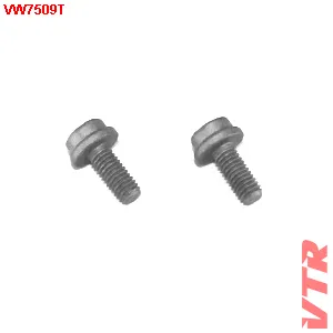 Болт поддона комплект 2 шт. VTR VW7509T