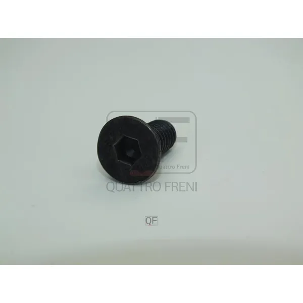 Винт крепления тормозного диска, QUATTRO FRENI QF90D00008