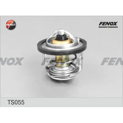 Термостат FENOX TS055