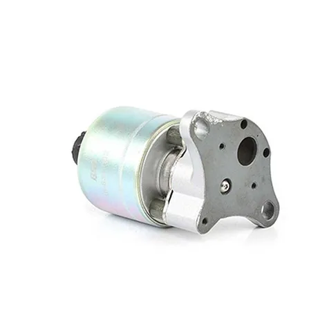 Клапан егр AVEO 08- BSG BSG 16-836-002