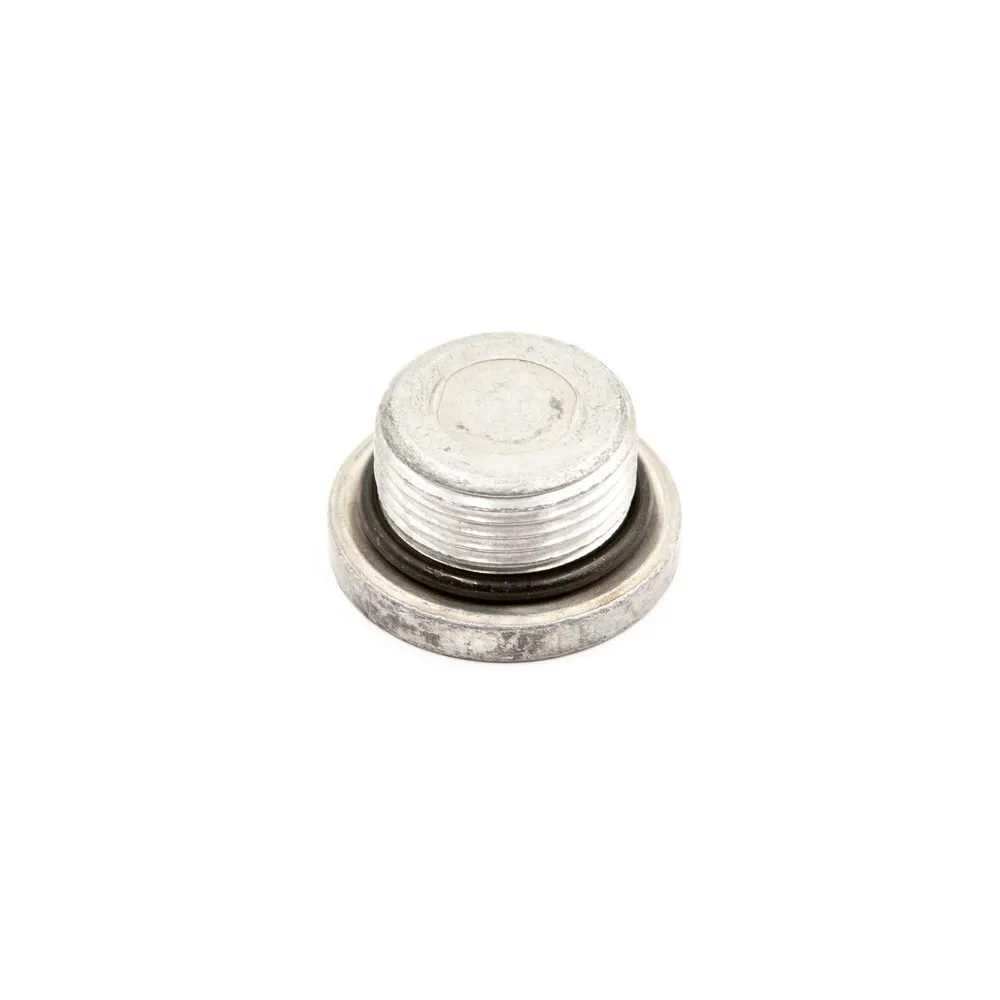 Пробка сливная (для вариатора) AUDI A4/A6/A7/Golf VII VAG WHT 005 623A