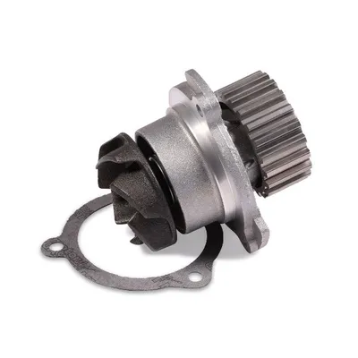 Помпа, водяной насос HEPU P624