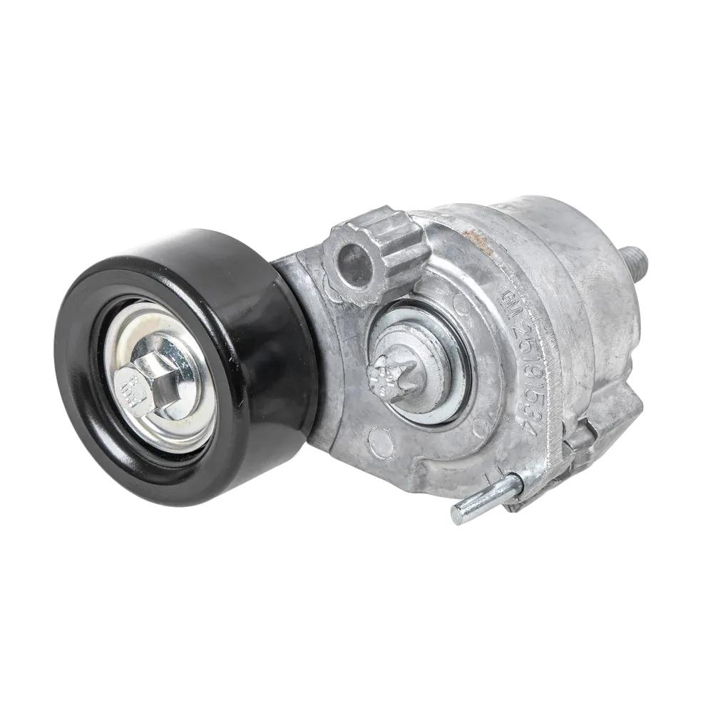 Ролик натяжения генератора GENERAL MOTORS 25191534