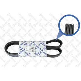 Ремень поликлиновый 6PK1305 Fiat Punto/Panda/Doblo 1.3JTD 03> STELLOX 06-01305-SX