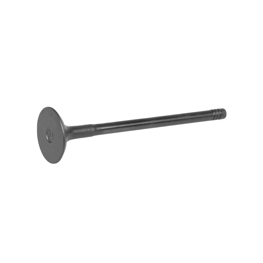 Клапан впускной A21/B11/B14/M11/M12/T11/T21 (481H-1007011CA) CHERY 481H1007011CA