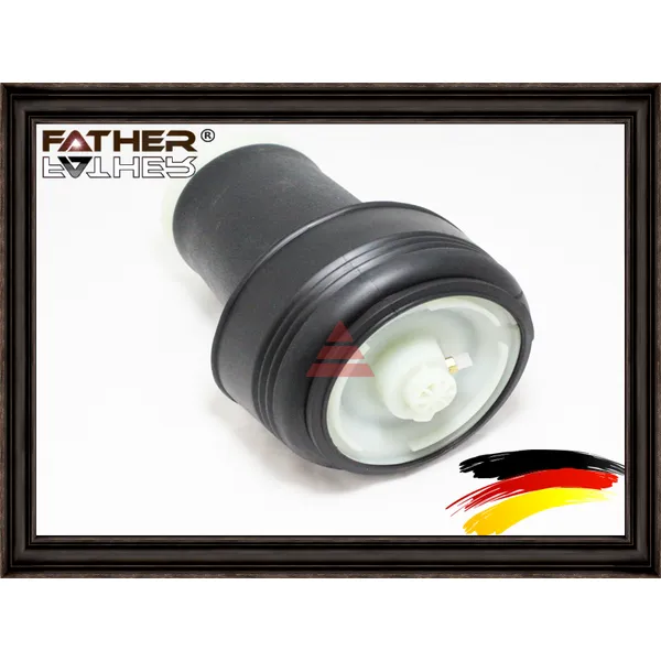 Пневмобаллон RR FATHER F1872R79