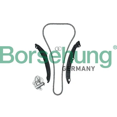 Комплект ГРМ BORSHEHUNG BORSEHUNG B19229