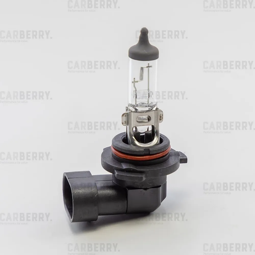 Лампа 12V HB4 51W CARBERRY Day&Night 1 шт. картон 31CA2