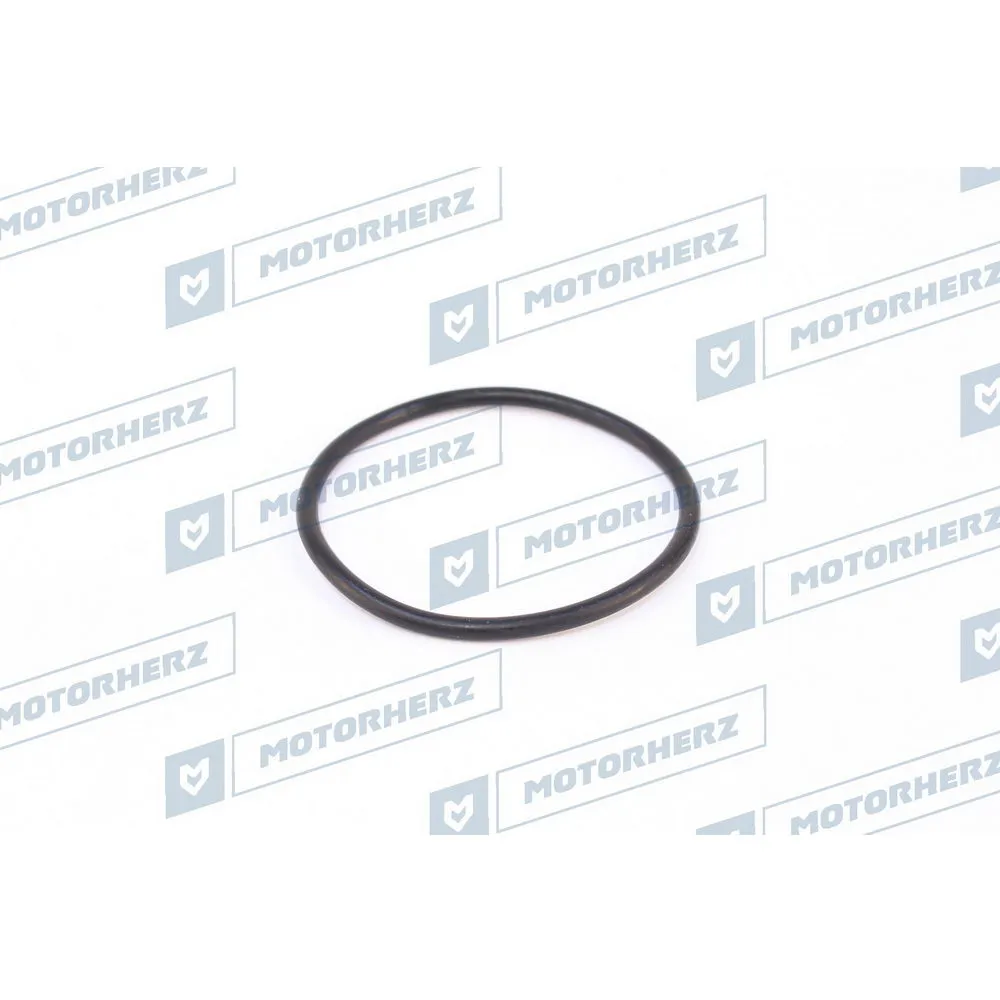 Кольцо рулевой рейки Motorherz HR0481