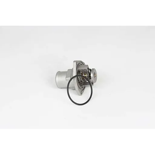 Термостат VECTRA A OMEGA A-B 86-99 BSG BSG 65-125-025