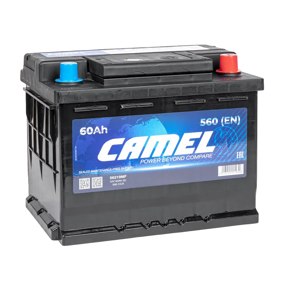 Аккумулятор CAMEL 60 А/ч Обратная R+ 242x175x190 EN560 A