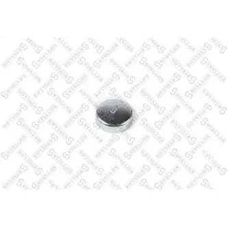 Заглушка блока цилиндров 02543, D 34mm MB W123/W124