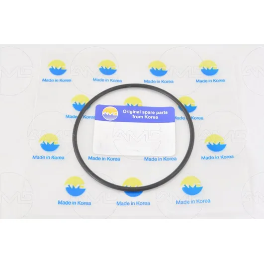 Прокладка помпы водяной 94580509amd.gas129 amd