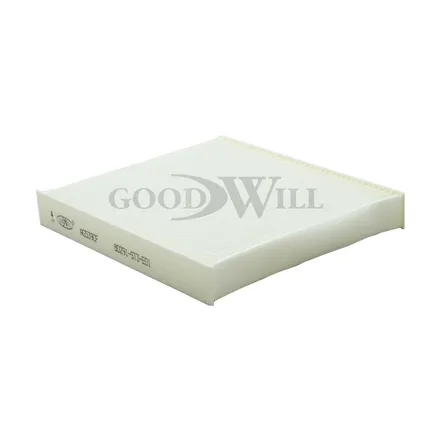 Фильтр салона GOODWILL AG 539/1 CF
