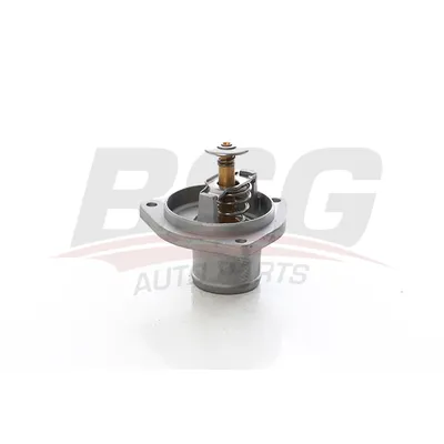Термостат W140-129 90-98 BSG BSG 60-125-025