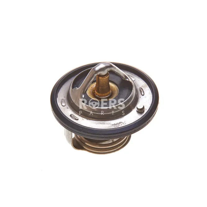 Термостат Roers Parts RP20LT014