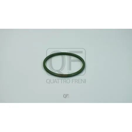 Кольцо уплотнительное турбокомпрессора QUATTRO FRENI QF76A00051