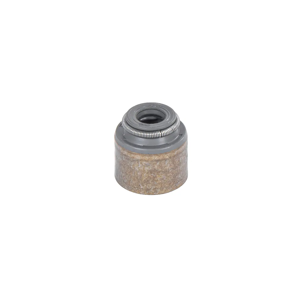 Колпачок маслосъемный RENAULT 1320 764 85R
