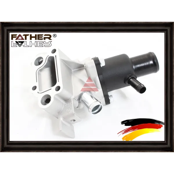 Термостат в сборе с крышкой FATHER F4389R70