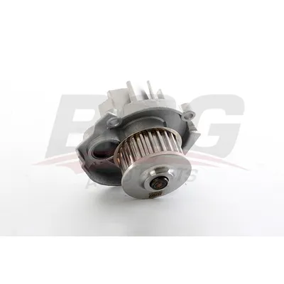 Водяной насос G.PUNTO/BRAVO II/LINEA/EGEA/500 01- BSG BSG 25-500-011