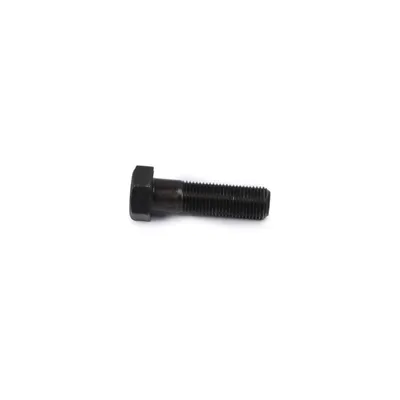Болт m20x2/70 MAN STELLOX 8900633_SX