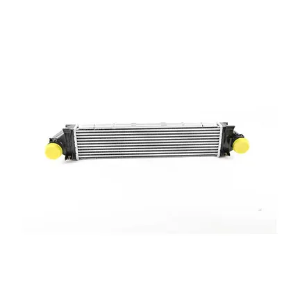 Интеркулер FREELANDER 2 EVOQUE 11-18 BSG BSG 15-535-020