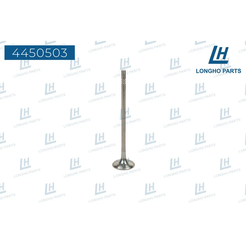 Клапан ДВС Chevrolet Aveo II 1,4 DOHC 55558728 LONGHO 4450503