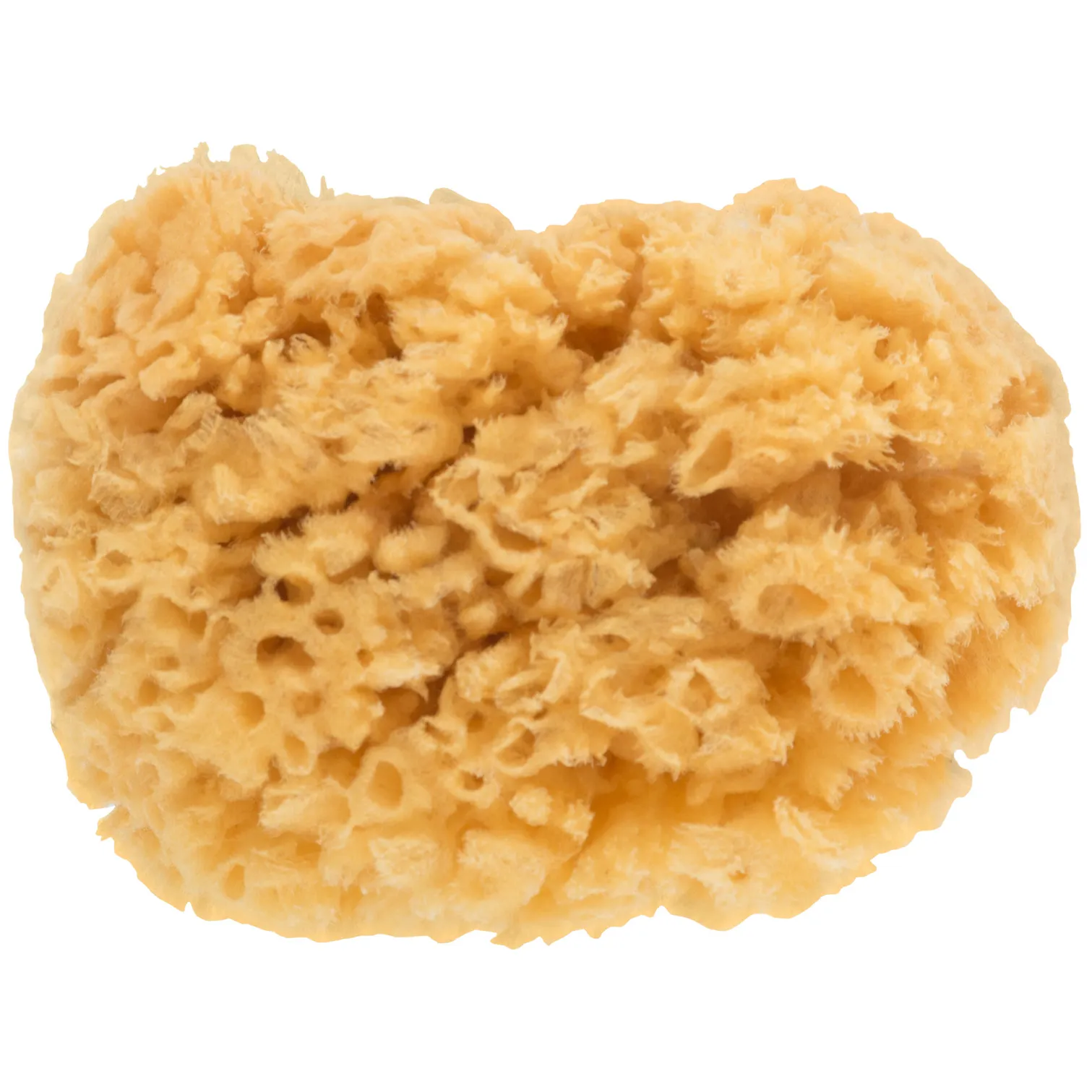 Губка натуральная морская, для декорирования, 100х110 мм MASTER COLOR 30-2001